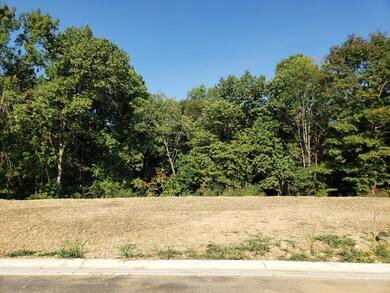 43 Kilner Goodlet Ct, Mount Washington, KY 40047 - photo 2