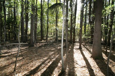 F 70th St, South Haven, MI 49090 - photo 6