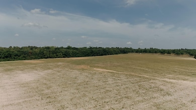 0 Us Hwy 19n Palmer Rd, Meigs, GA 31765 - photo 2