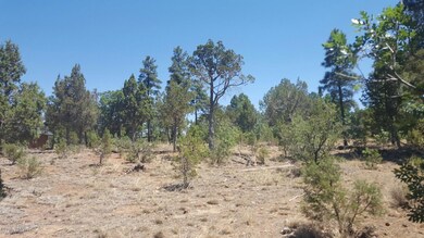 20160628_105731_resized