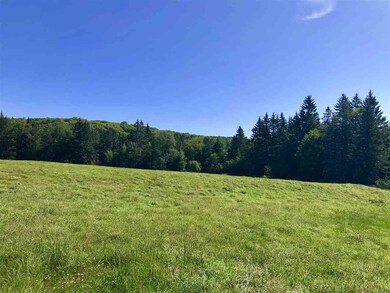 1278 Summerhill Rd, East Hardwick, VT 05836 - photo 5