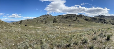 NNA Soap Lake Rd, Malott, WA 98829 - photo 3