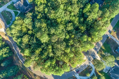 4 Drone View (9 of 9)
