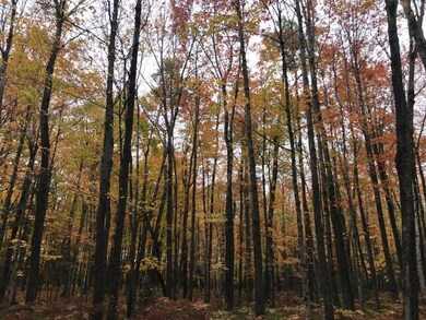 1860 E Swede Rd, Cedarville, MI 49719 - photo 6