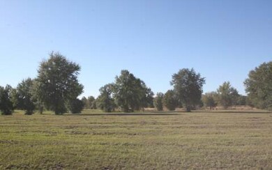 LOT75 Mandiba Dr, Lake City, FL 32024 - photo 2