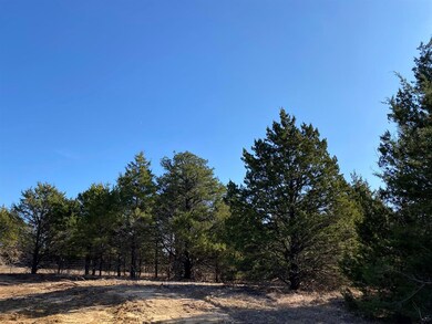 1768 Gordonville Rd, Gordonville, TX 76245 - photo 7