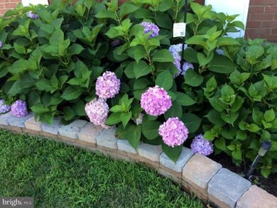 3064 Winter Pine Ct, Fairfax, VA 22031 - photo 3