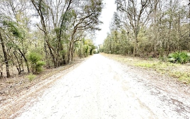 11 NE Tansy Road Lot 30, Mayo, FL 32066 - photo 6