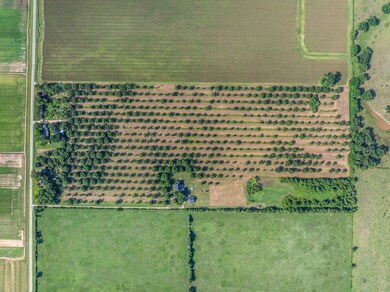 402 County Road 111, Wharton, TX 77488 - photo 4