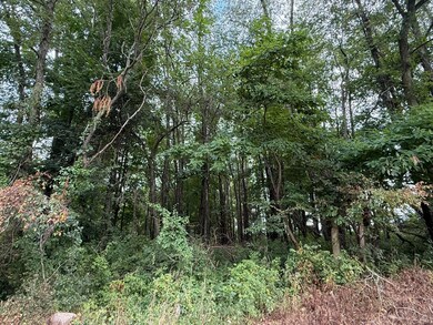 5160 Quackenbush Rd, Reading, MI 49274 - photo 6