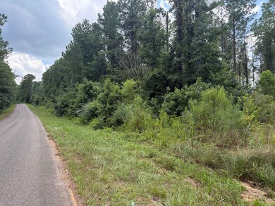 0 County Road 51 Greensboro unit AL 36744, Greensboro, AL 36744 - photo 3