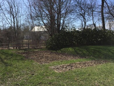 Back yard and community garden