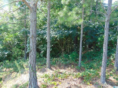 162 Jewell Cir, Bessemer, AL 35022 - photo 6