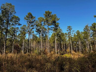 21 Lee Road 254, Salem, AL 36874 - photo 5