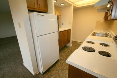 1142 Canterbury Square S, Indianapolis, IN 46260 - photo 6