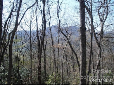 0 Anglers Ridge unit B1, B2,B3,B4, Waynesville, NC 28786 - photo 4