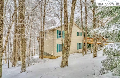 101 Doe Ln, Beech Mountain, NC 28604 - photo 2
