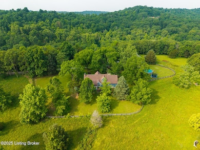 410 Cedar Flats Rd, Battletown, KY 40104 - photo 4