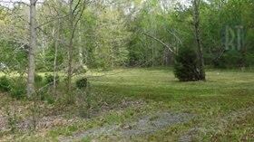Septic system in place and ready to use!