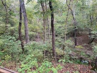 3122 County Rd, Clarksville, TX 75426 - photo 6