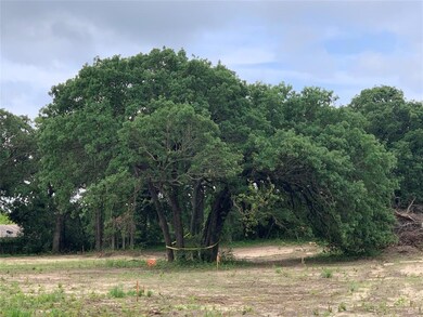 520 Oak Hill Trail, Azle, TX 76020 - photo 4