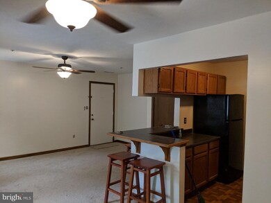 44790 Locust Ridge Ct unit 848, California, MD 20619 - photo 4