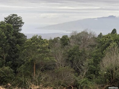 0 Haleakala Hwy unit Lot 37 384266, Kula, HI 96790 - photo 5