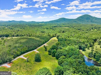 0 Arthur Allen Rd unit 10646087, Cleveland, GA 30528 - photo 3