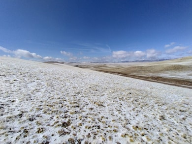 916 Chicha Rd, Hartsel, CO 80449 - photo 5