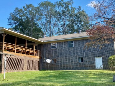 Back View