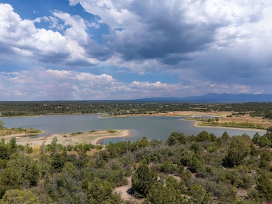 0 Tbd Road P2 Loop unit 827917, Mancos, CO 81328 - photo 3