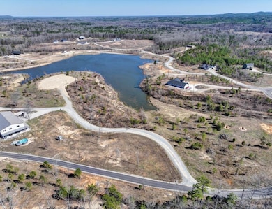 000 Snorting Buffalo Trail, Hot Springs, AR 71901 - photo 7
