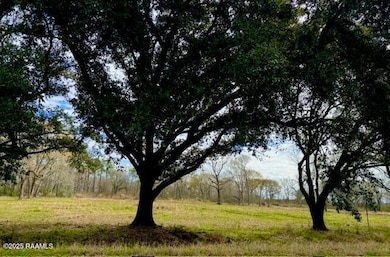 0 Tbd 5th Street (Tract 3), Iota, LA 70543 - photo 7