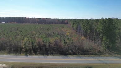 0 Duke Valentine Wynne Rd unit 10133928, Louisburg, NC 27549 - photo 5