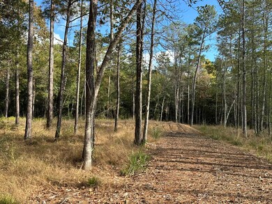 580 County Road 061 unit 580 County Road 061, Jasper, TX 75951 - photo 6