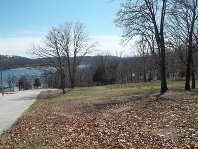 Lot 4 Breezy Point Ln, Ruth B Rural Township, MO 65686 - photo 7