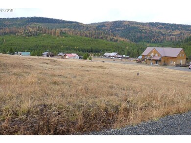 0 E Tabor, Granite, OR 97877 - photo 4