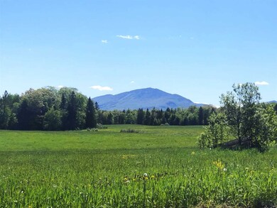 1079 S Ridge Rd, Sutton, VT 05867 - photo 2