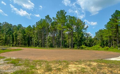 174 Hunter's Cove, Madison, MS 39110 - photo 5