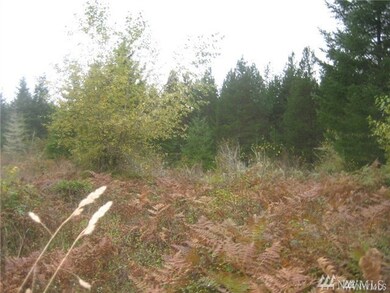 518 364th St E, Roy, WA 98580 - photo 7