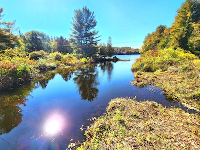 13347 Henry Rd, Natural Bridge, NY 13665 - photo 7