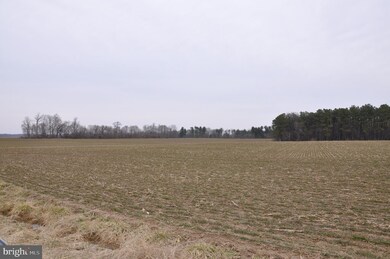 0 Flatland Rd unit MDKE113920, Chestertown, MD 21620 - photo 3