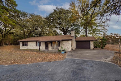 3702 E State Highway 154, Quitman, TX 75783 - photo 4