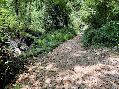 000 Wilderness Way, Anderson West Township, MO 64831 - photo 4