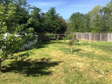 Fruit Trees