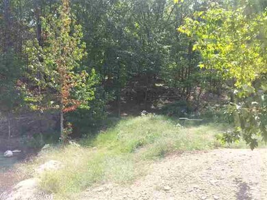 1133 Bittle Rd, Heber Springs, AR 72543 - photo 6