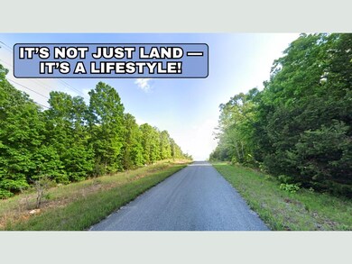 308 S Pine Ridge Dr, Horseshoe Bend, AR 72512 - photo 7