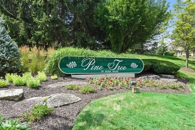 14 Pine Tree Ln, Burr Ridge, IL 60527 - photo 3