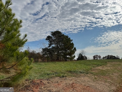 3439 TRACT 3 Providence Church Rd, Hartwell, GA 30643 - photo 3