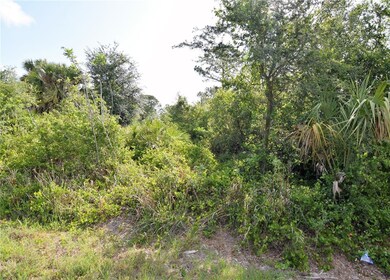 13204 Green Gulf Blvd, Punta Gorda, FL 33955 - photo 3